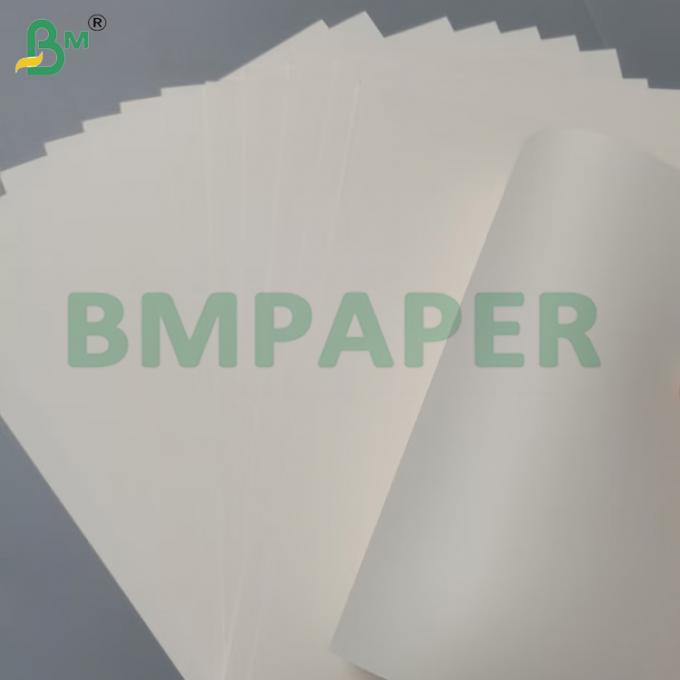 210g + 15g Bowl Paper Food Grade PE Coated Virgin Wood Pulp Rolls