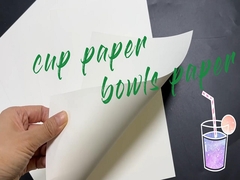 180gsm + 18gsm Single Side PE Coated White Cup Paper Bowls Paper