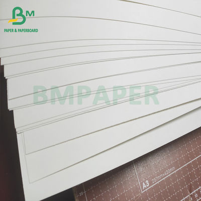 Single Side Double Side Cup Stock Paper Board , 250g + 15 PE Coated Board For Bowls Cups