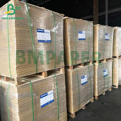 215gsm White Coated Freezer Paper Roll For Food Container Packaging