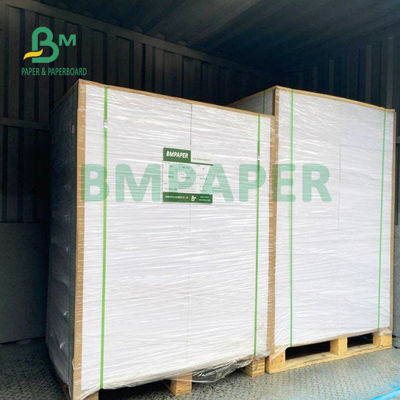 210gsm+15gsm Cup PE Film Coated Paper Good Brightness 615mm X 850mm