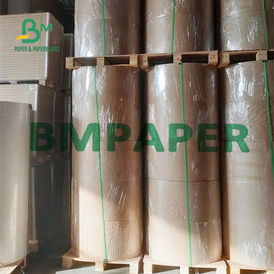 300gsm 320gsm PE Coated Cup Raw Material Paper Roll For Hot Tea