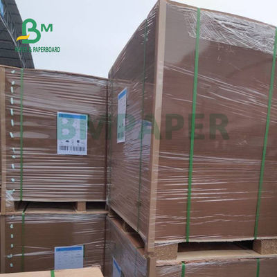 300gsm + 15g PE Coated Kraft Paper For Food Trays Good Stiffness 700 x 1000mm