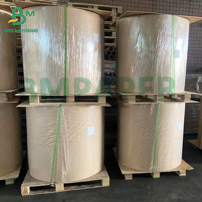 Large Sheet and Rolls Carbonless NCR Paper Multi Colors For Invoices Receipts