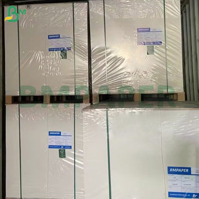 350g Coated Container Board C1S Food Grade Virgin Wood Pulp Card