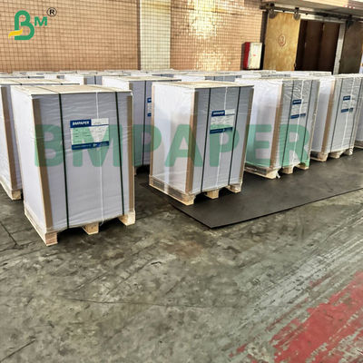 BMPAPER Liquid Proof White &amp; Brown Cupstock Paper Laminated With PE Coating