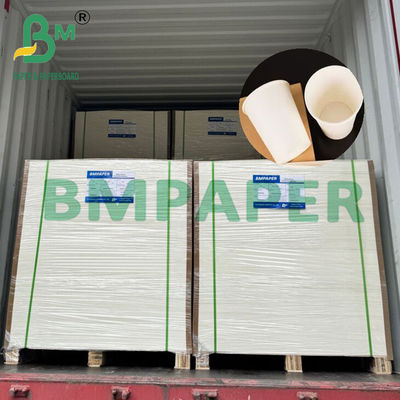 210gsm 230gsm Biodegradable Hot Coffee Tea Cup Paper Raw Material