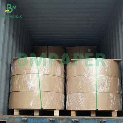 60gsm 70gsm Papel Autocopiativo Carbonless Paper Blue Image 255mm Roll