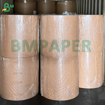 250gsm Waterproof Coated Premium Frozen Shrimp Packing Paper For Cold Storage Storage