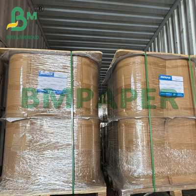 50gsm Heat Seal Food Grade Brown Filter Paper Roll For Coffee