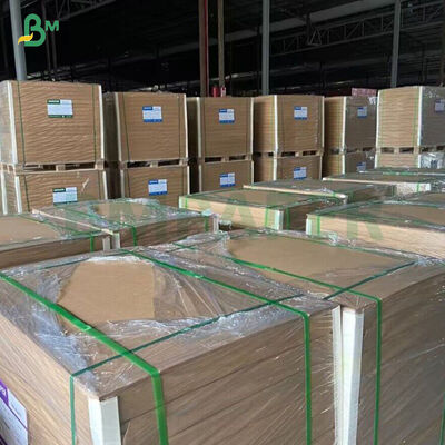 250gsm Unbleahed PE Coated  Bamboo Kraft Paper For Paper Cup