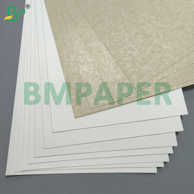 Food-Grade Bowl And Dish Specialty Paper / Plate Paper, PET Coated