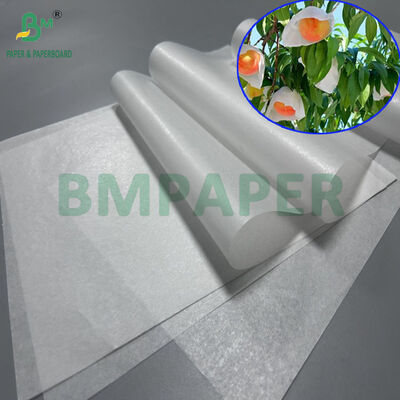 27gsm 30gsm Waterproof White Peach Growing Bags Paper 700mm  800mm