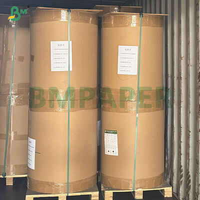 35gsm 40gsm PE Coated Food Grade White Machine Glazed Kraft Paper For Food Bag 
