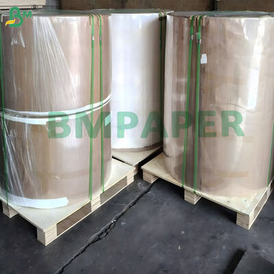 PET Coated White Paper For Dinnerware Plate and Dish Heat Resistance