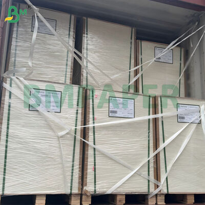 300gsm Unbleached Sugarcane Bagasse Pulp Paper Sheet Biodegradable Certified 787mm X 1092mm