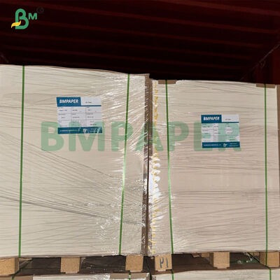 High Stiffness 180/190/210g Single PE Coated Paper Cup Base Paper 