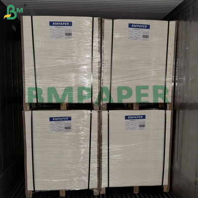 300gsm +15g PE Coated White Lunch Box Paper For Packing Fast Food 400 x 500mm