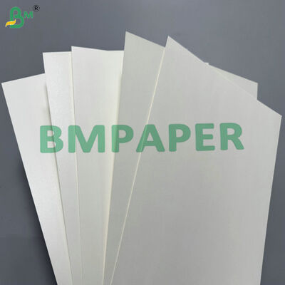 170-400 gsm PLA Coated Cupstock Paper Compostable Paperboard for Hot & Cold Beverage Cups