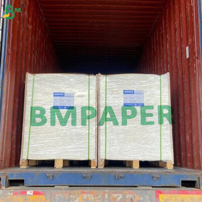 Food Grade PE Coated High Stiffness Cupstock Waterproof Leak Proof