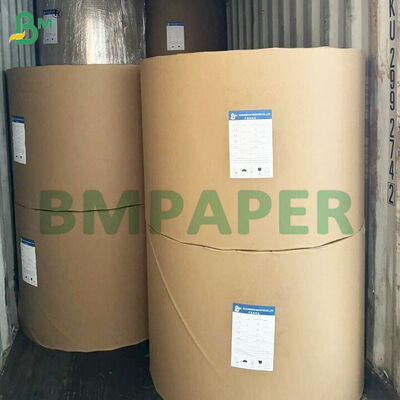 42gsm High Temperature Resistant Food Grade Baking Paper Rolls