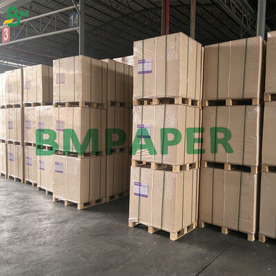 Sustainable Natural Sugarcane Bagasse Paper for Printing, Shopping Bags