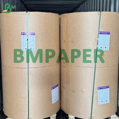Two Side Kraft Cardstock For Beverage Cup Forming, 210gsm To 320gsm