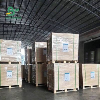60G 70G 80G 90G Uncoated Plain White Woodfree Offset Printing Paper Sheets 24 * 38&quot;