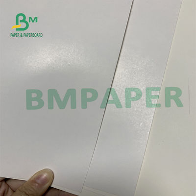 170 - 400 Gsm Ivory Printing Paper For Medicine Boxes 635mm X 914mm