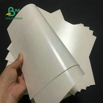 Food Grade 260 + 15 PE Coated Cup Stock Paper White For Coffee Cup