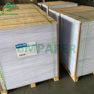 Matte Coated C2S Glossy Paper 80G 90G 100G 115G  Size 635mm X 900mm