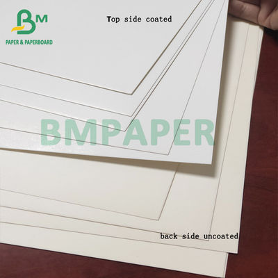 Food Grade Freezer Paper Roll , C1S Paperboard 350gsm White Coating