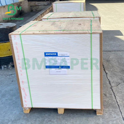 Food Grade Freezer Paper Roll , C1S Paperboard 350gsm White Coating