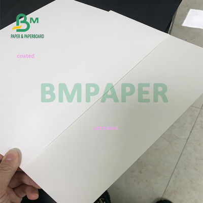 635mm X 914mm Food Wrapping Paper , Waterproof C1S Art Paper For Takeway Box