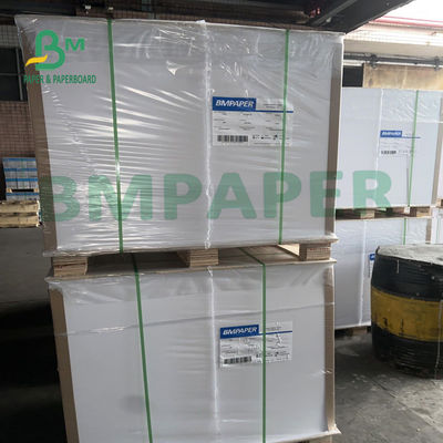 635mm X 914mm Food Wrapping Paper , Waterproof C1S Art Paper For Takeway Box