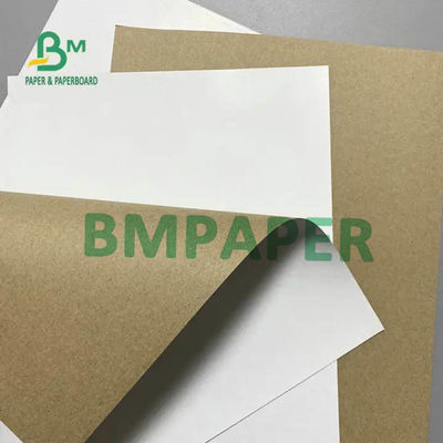White Top Kraft Liner Board Paper Recycled Pulp Material 120gsm 170gsm 200gsm