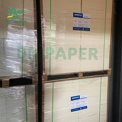 Flexible High Smoothness Newsprint Paper Roll For Wrapping Vegetables