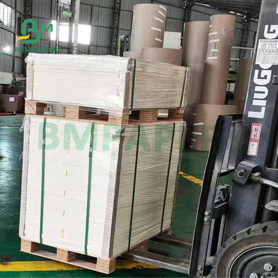Flexible High Smoothness Newsprint Paper Roll For Wrapping Vegetables
