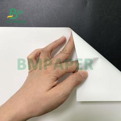 Synthetic Adhesive Sticker Paper Heat Resistance Tear Resistance For Self Adhesive Label
