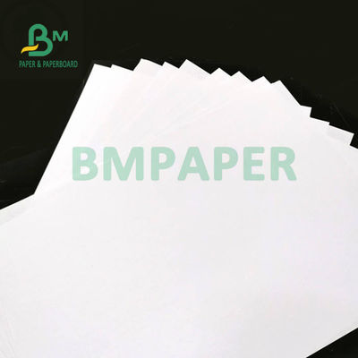 C1S Coated FBB SBS Paper Board 350gsm For Pharmaceutical Packing 37" X 25" Lightweight