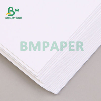 C1S Coated FBB SBS Paper Board 350gsm For Pharmaceutical Packing 37" X 25" Lightweight