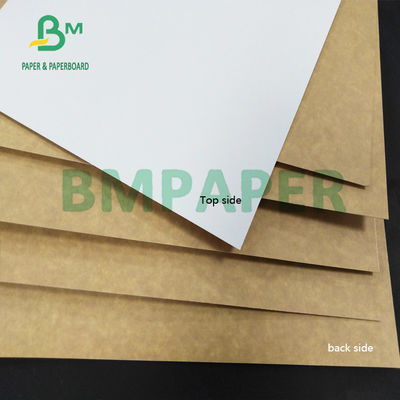 325gsm CCK Clay Coated Kraft Back Paper Moisture Resistant For Folding Carton Boxes