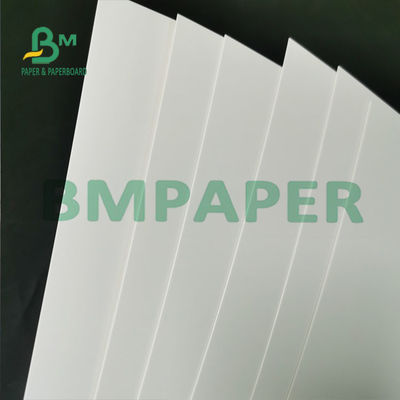One Side White Coated Freezer Paper Roll Sheet Waterproof Food Grade 295g For Bread