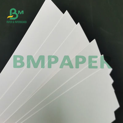 One Side White Coated Freezer Paper Roll Sheet Waterproof Food Grade 295g For Bread