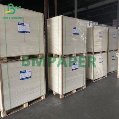 High Bulky CCKB Paperboard With White Top Kraft Back 250G 270G 300G