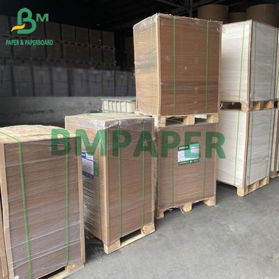 PE Coated Brown Kraft Board Paper For Food Container Board 300g + 15g PE