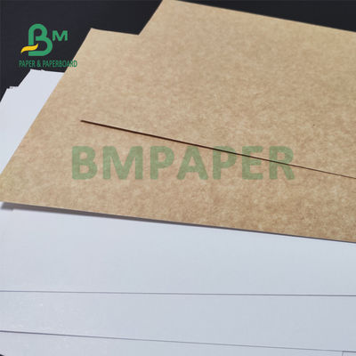325gsm Uniform White Coated Kraft Back Paper For Packing Bread 70 X 100cm