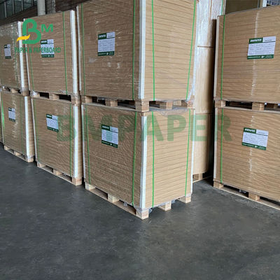 325gsm Uniform White Coated Kraft Back Paper For Packing Bread 70 X 100cm
