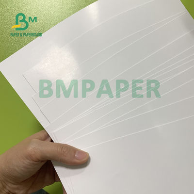Double Sides Coated Glossy Cover Paper 250gsm 300gsm 70cm X 100cm