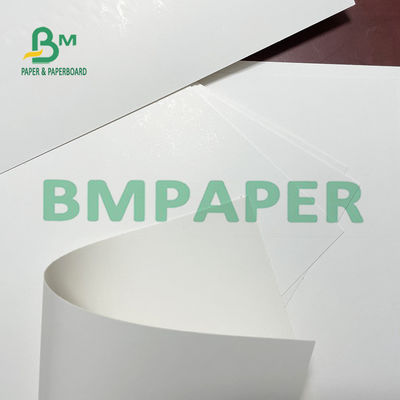 295gsm 325gsm SBS Paper Board , C1S Ivory Board For Greeting Cards